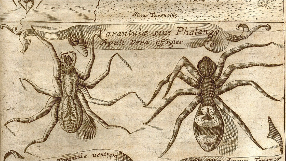 MAGNES SIVE DE ARTE MAGNETICA, ROMA 1641, di ATHANASIUS KIRCHER